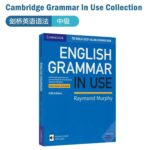 Cambridge-Elementary-English-Grammar-Advanced-Essential-English-Grammar-In-Use-English-Test-Preparation-Professional-Book