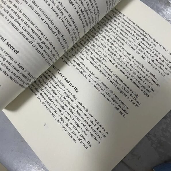 Ikigai-The-Japanese-Secret-Philosophy-for-A-Happy-Healthy-By-Hector-Garcia-Inspirational-Books-In-English-2