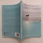 The-Untethered-Soul-By-Michael-A-Singer-The-Journey-Beyond-Yourself-Novel-1-New-York-Times