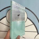The-Untethered-Soul-By-Michael-A-Singer-The-Journey-Beyond-Yourself-Novel-1-New-York-Times