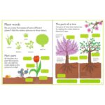 Usborne-First-Sticker-Book-How-Things-Grow-Colouring-English-Activity-Story-Picture-Book-for-Kids